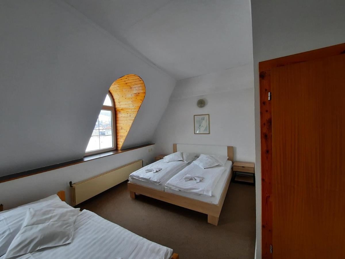 Hotel Koruna Jeseník エクステリア 写真